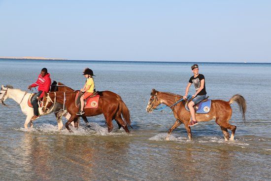 Hurghada Equestrian